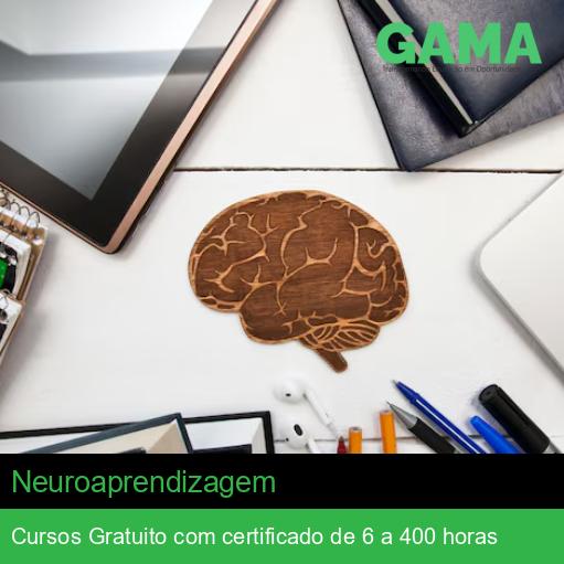 Neuroaprendizagem