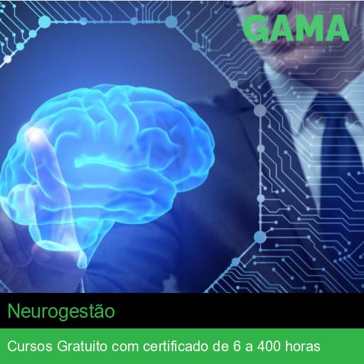 Neurogestão