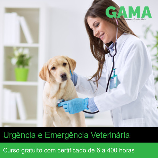 Curso Grátis de Urgência e Emergência Veterinária com Certificado ...